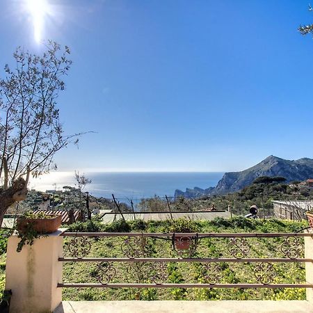 Il Pioppo - Country House Sea View ماسّا لوبْرينسِ المظهر الخارجي الصورة