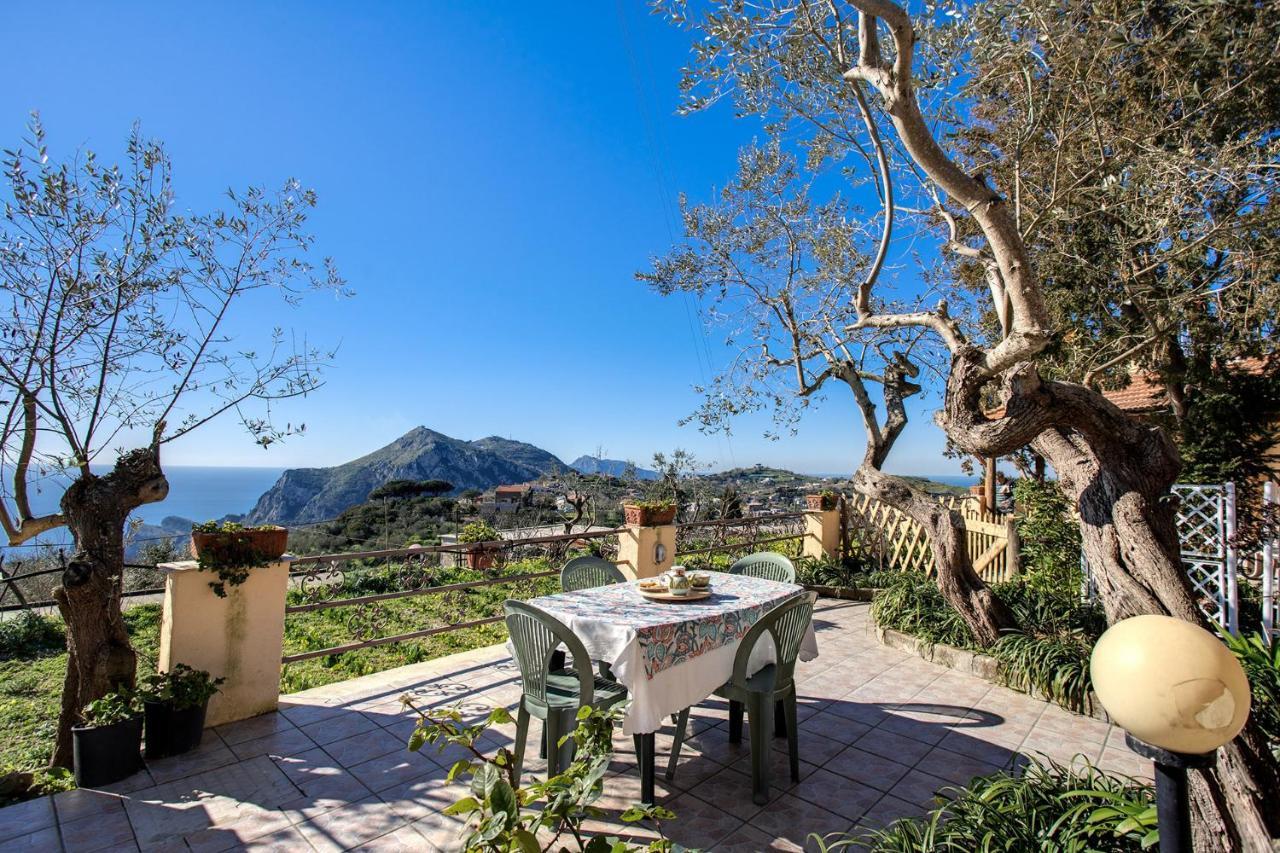 Il Pioppo - Country House Sea View ماسّا لوبْرينسِ المظهر الخارجي الصورة