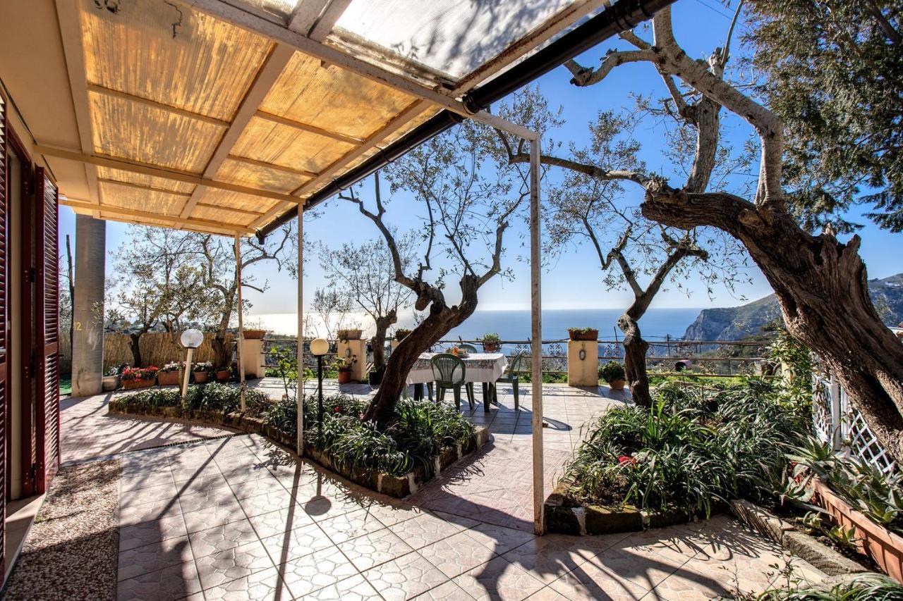 Il Pioppo - Country House Sea View ماسّا لوبْرينسِ المظهر الخارجي الصورة