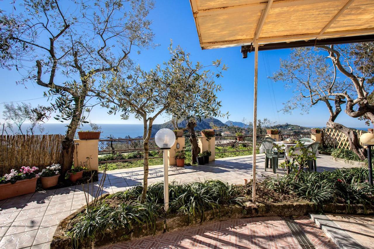 Il Pioppo - Country House Sea View ماسّا لوبْرينسِ المظهر الخارجي الصورة