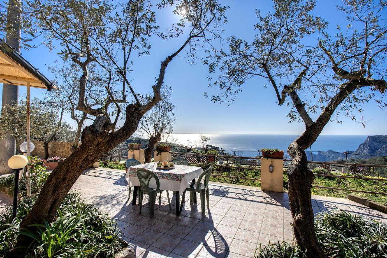 Il Pioppo - Country House Sea View ماسّا لوبْرينسِ المظهر الخارجي الصورة