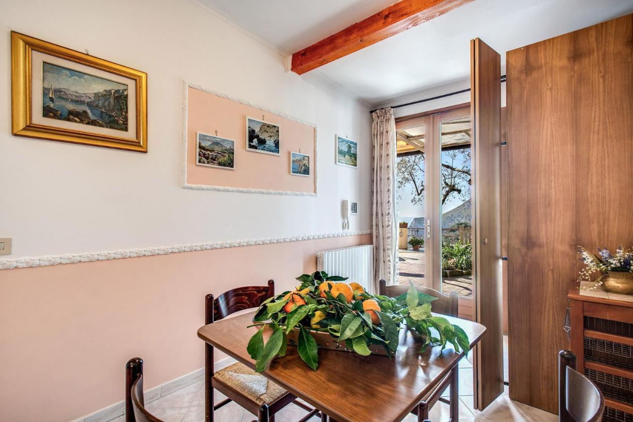 Il Pioppo - Country House Sea View ماسّا لوبْرينسِ المظهر الخارجي الصورة
